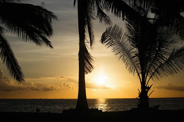 What unique experiences can you find in Wales that showcase its rich cultural heritage?