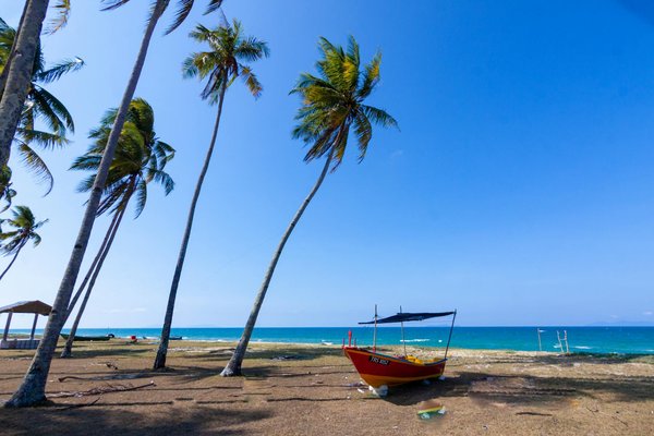 Exploring somerset: a memorable adventure through britain's exquisite cheese tasting culture